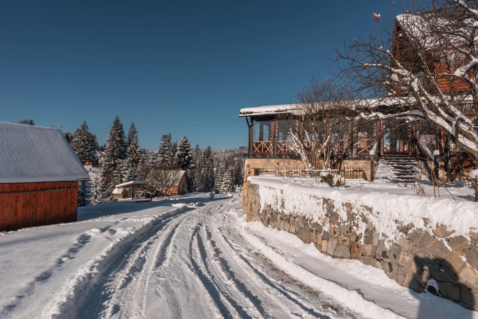 Гостьовий Дім "У Ані" Hotel Yablunytsya Exterior photo