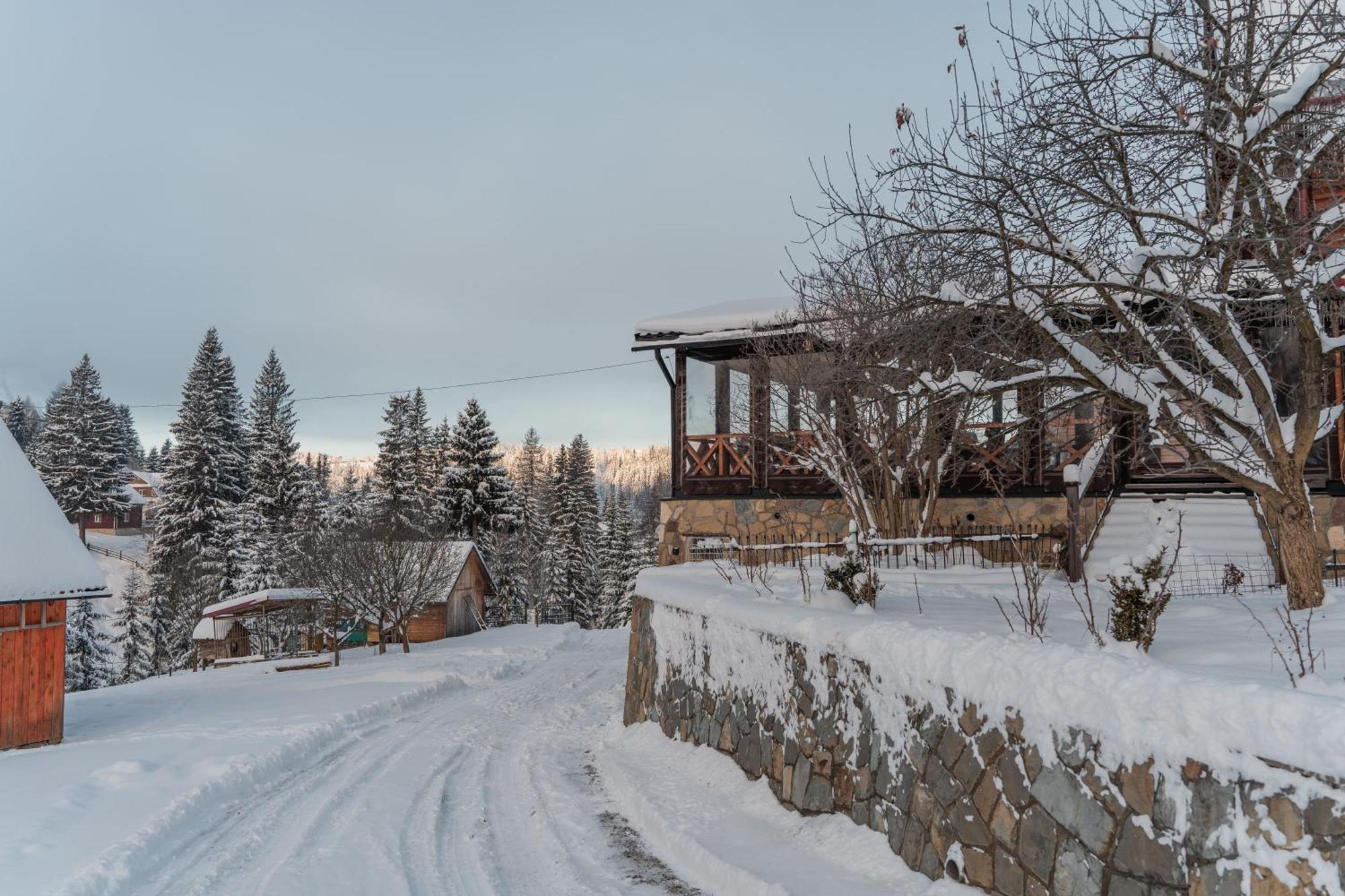 Гостьовий Дім "У Ані" Hotel Yablunytsya Exterior photo